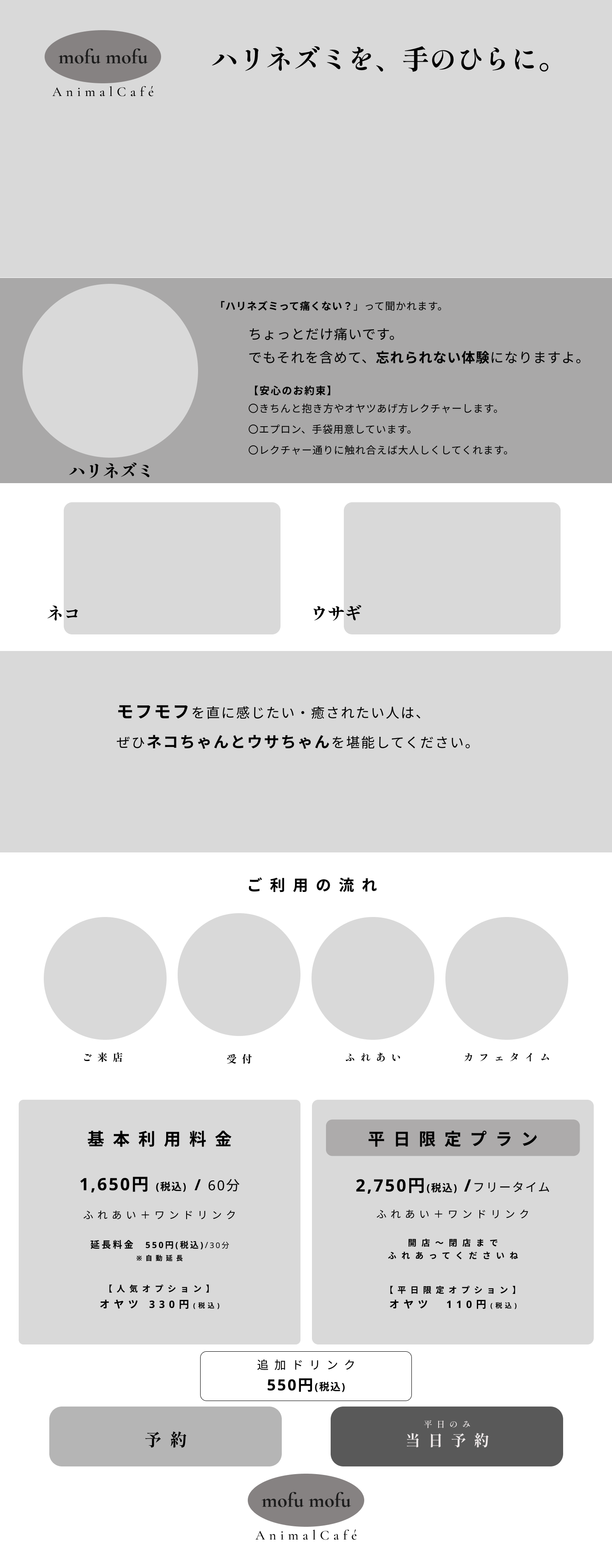 ワイヤーフレーム